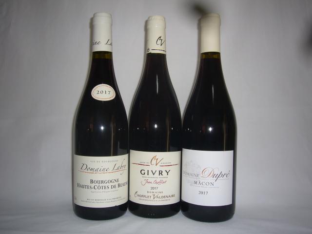 Probier-Paket "Bourgogne" rouge